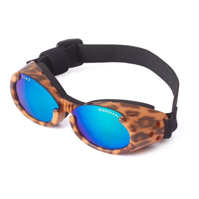 Hundglasögon ILS - Leopard / Blue Lens