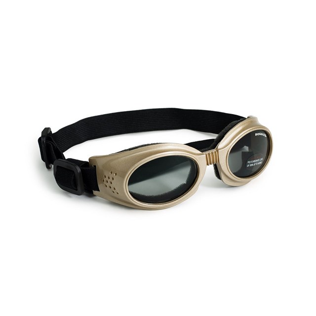 Hundglasögon Originalz - Gold / Smoke Lens