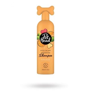 Ditch The Dirt Shampoo 300 Ml