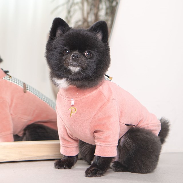 Amari Indian Pink - Hundtröja