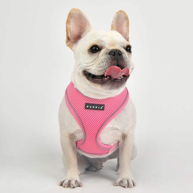 SOFT Harness A PRO Pink - Hundsele - Medium