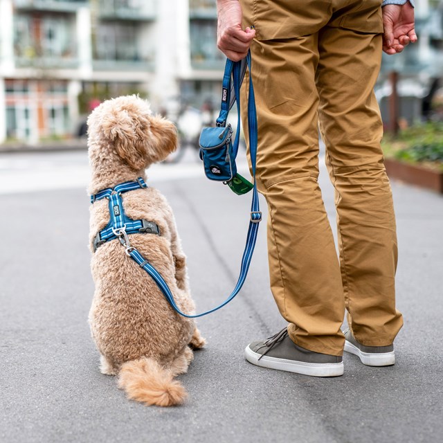 Urban Freestyle Leash 3.0 Ocean Blue