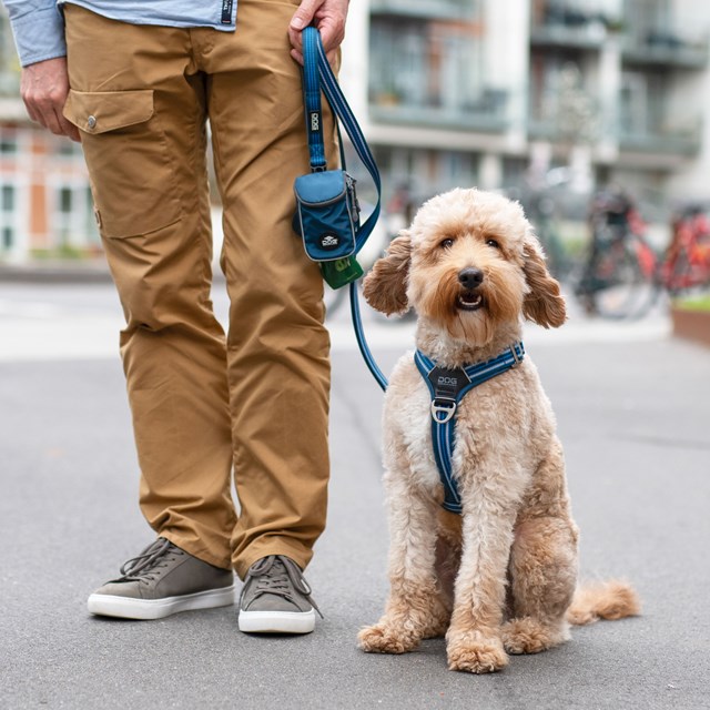 Urban Freestyle Leash 3.0 Ocean Blue