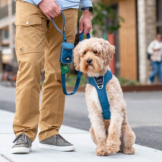 Urban Trail Leash Hundkoppel 3.0 - Ocean Blue