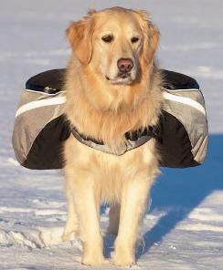 Backpack Extreme - Grå Klövjeväska