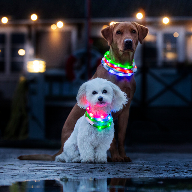 Dogman Blinkhalsband LED Gul