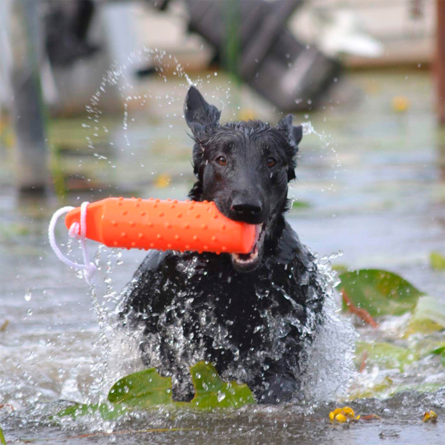 Dogman Dummie Flytande hundleksak