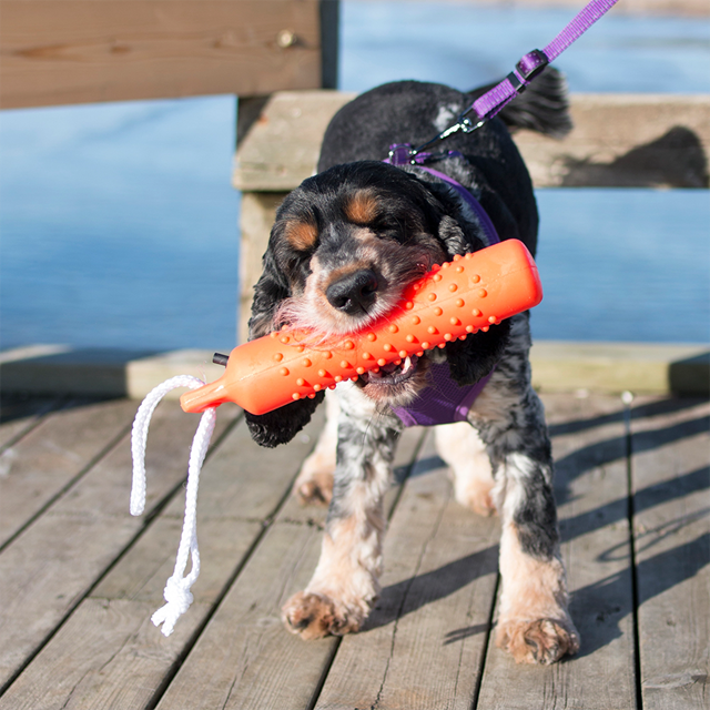 Dogman Dummie Flytande hundleksak