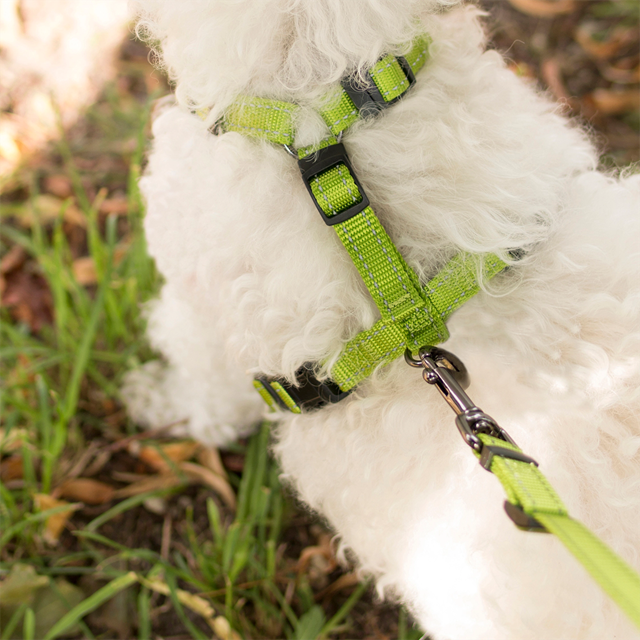 Dogman Hundsele Iris - Rosa