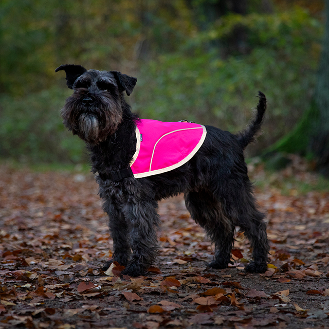 Dogman Rex Reflekterande Hundväst - Rosa