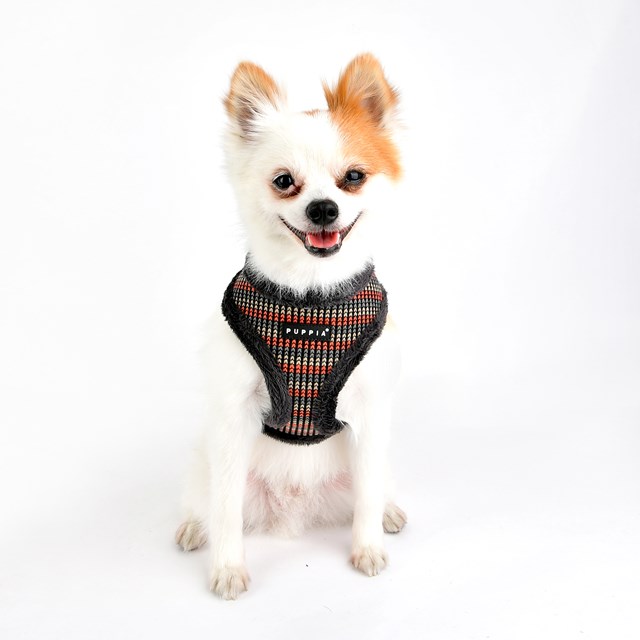 ELLIOTT Grey - Fodrad Hundsele