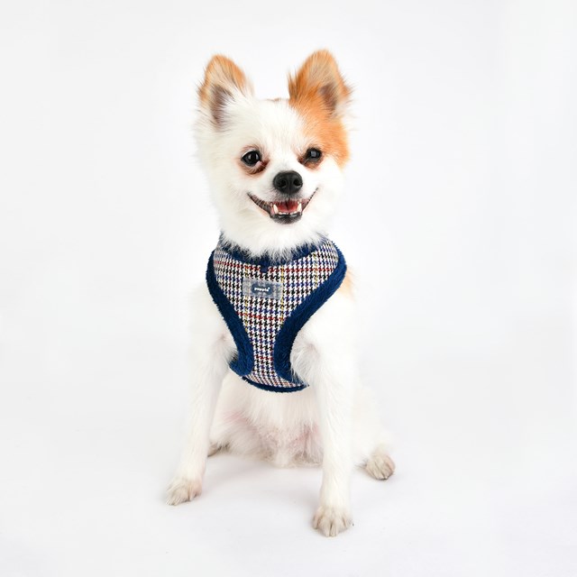 AUDEN Blue - Fodrad Hundsele