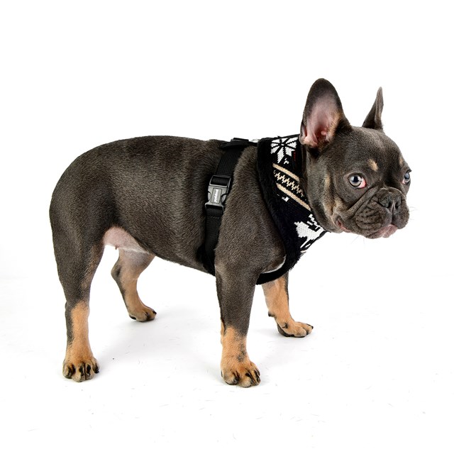 PRANCER Black - Fodrad Hundsele