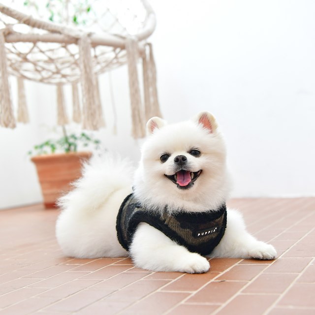 Colonel Camo - Fodrad Hundsele