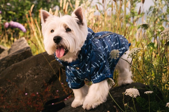 Storm Print Rainstorm - Regntäcke