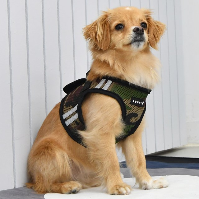 Soft Vest PRO Camo - Hundsele