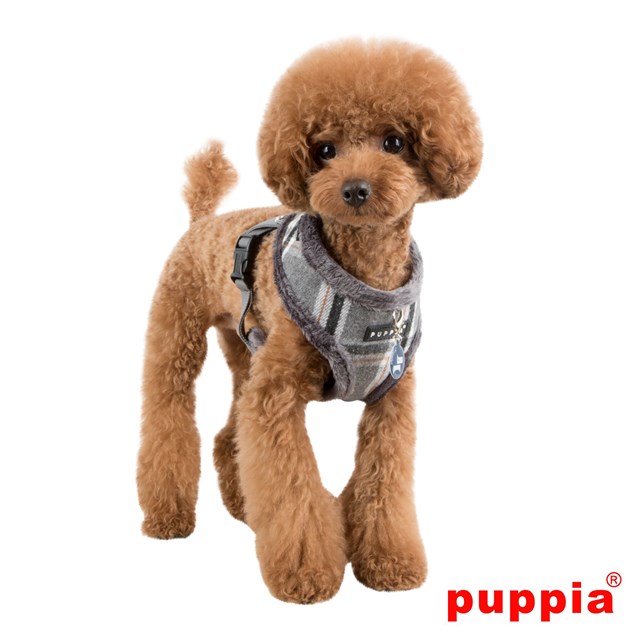 KEMP Grey - Fodrad Hundsele xl