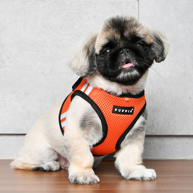 SOFT VEST PRO ORANGE - HUNDSELE