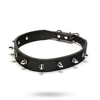 Halsband Med Nitar - Svart