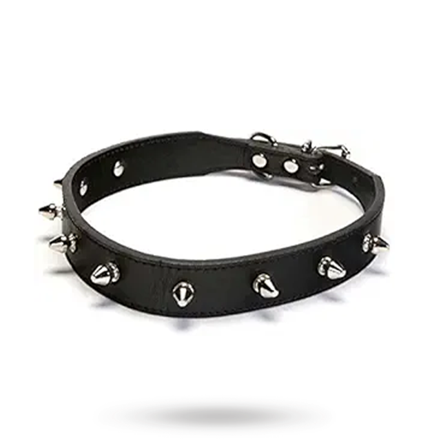 Halsband med nitar - Svart