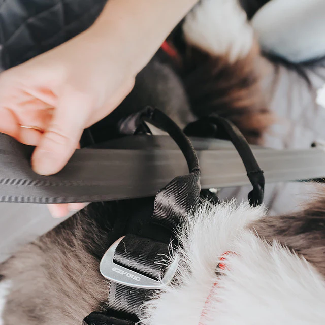 Ezydog Drive Harness - Krocktestad bilsele