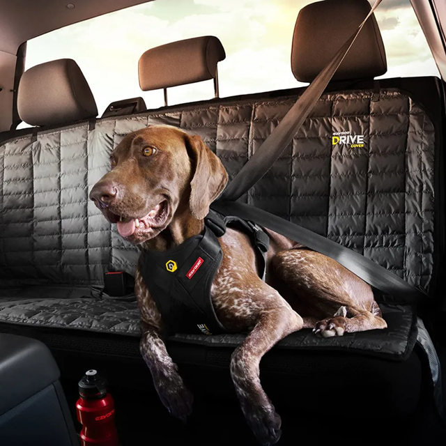 Ezydog Drive Harness - Krocktestad bilsele