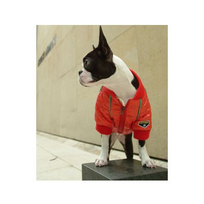 PA F1 Jacket - Svart - XL