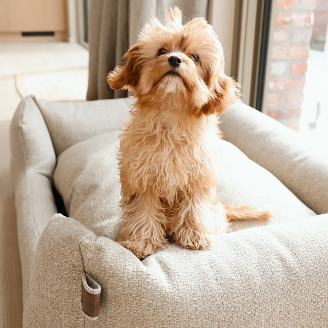 Fantail Snooze Endurance ECO Ortopedisk Hundbädd - British Tan