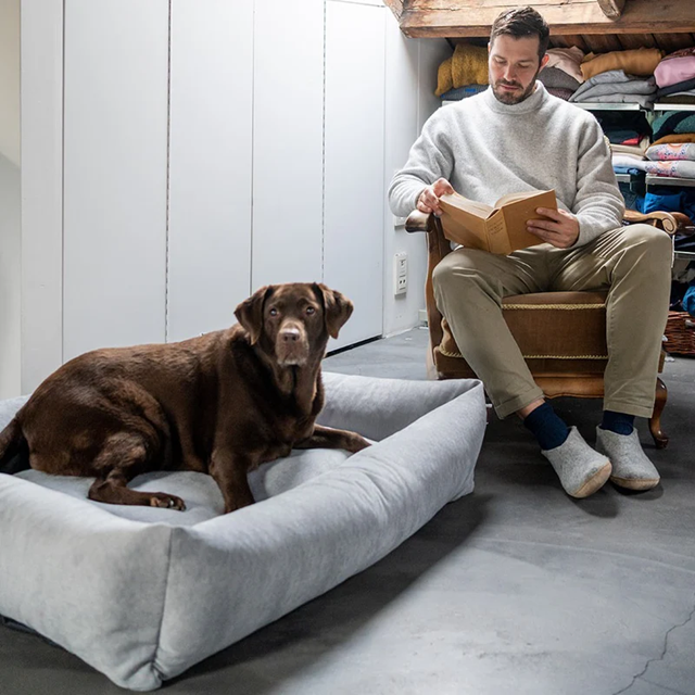 Fantail Snug Mellow Ortopedisk Hundbädd - Pearl Grey