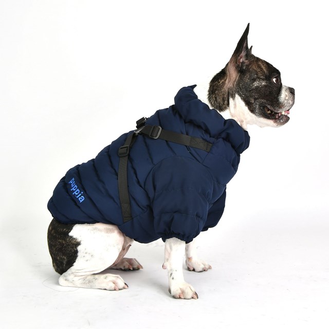 Soft Jumper Navy Hundtäcke Med Integrerad Sele