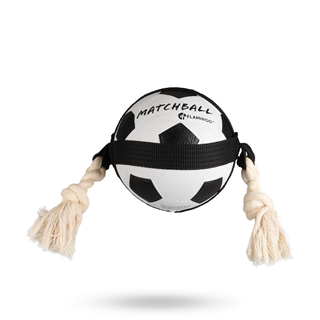 Actionboll Fotboll Med Rep