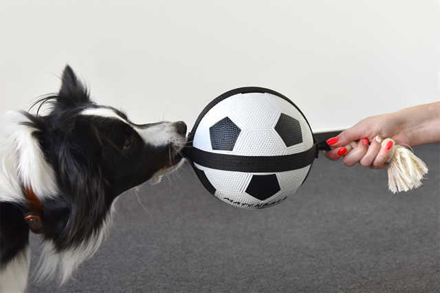 Actionboll Fotboll med Rep