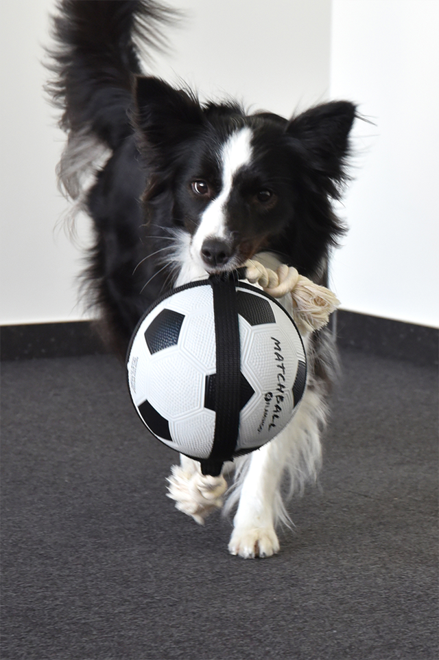 Actionboll Fotboll med Rep