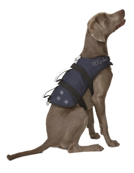 Navy Star - Baltic Hundflytväst
