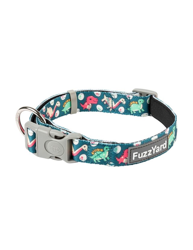Dinosaur Land - Hundhalsband
