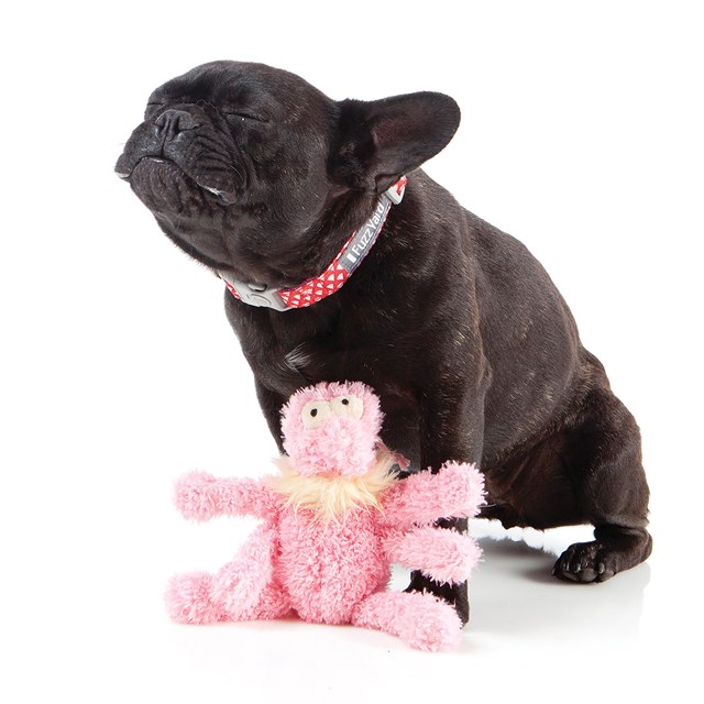 Mjuk Hundleksak - Scrachette the Flea Pink