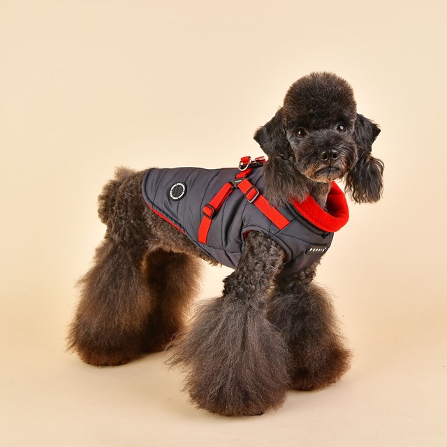 Mountaineer II Grey - Fodrat Hundtäcke med Integrerad Sele