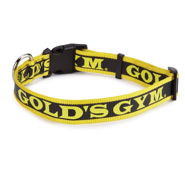 Gold's Gym Dog Halsband