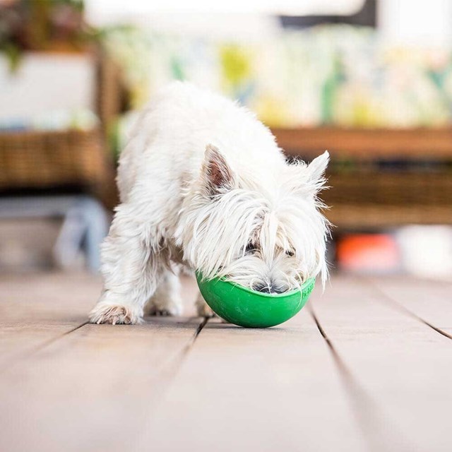 LickiMat Wobble Hundskål 16.5 cm