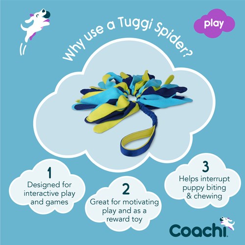 Coachi Tuggi Spider - Kampleksak