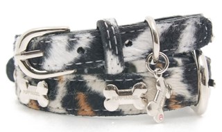 Luxury Jungle Bone Halsband Zebra