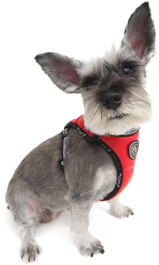 Active Harness Beige