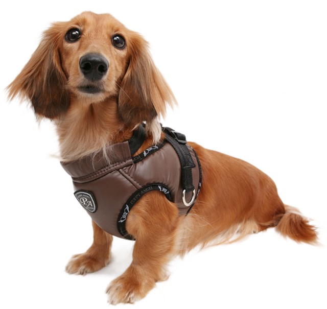 Ready to Go Harness - Navy