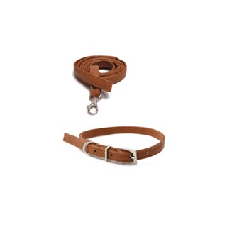 Original Basic Halsband + Koppel Brun - Xl