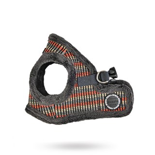 Elliott Grey - Fodrad Hundsele