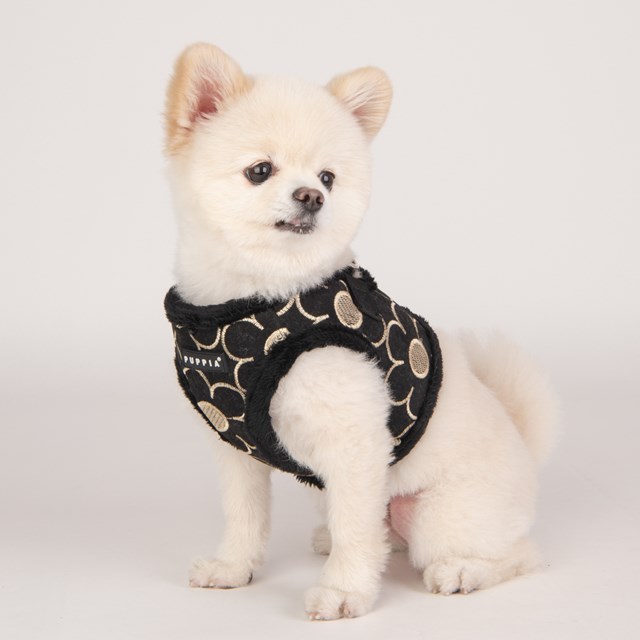 Florent Svart - Jacket Hundsele