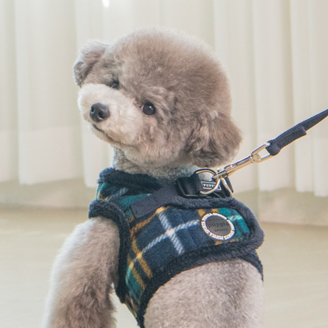 Norman Navy - Jacket Hundsele