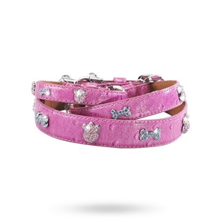 Paws And Bones Halsband - Medium
