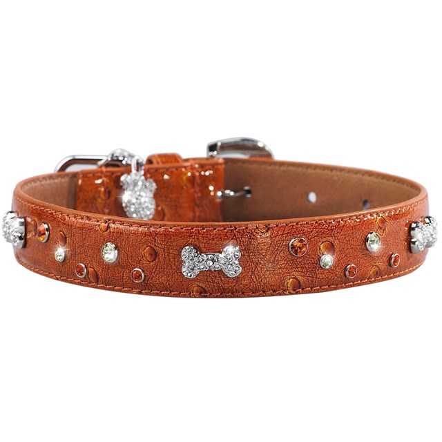 Bones and Sprinkles Halsband Orange XXS