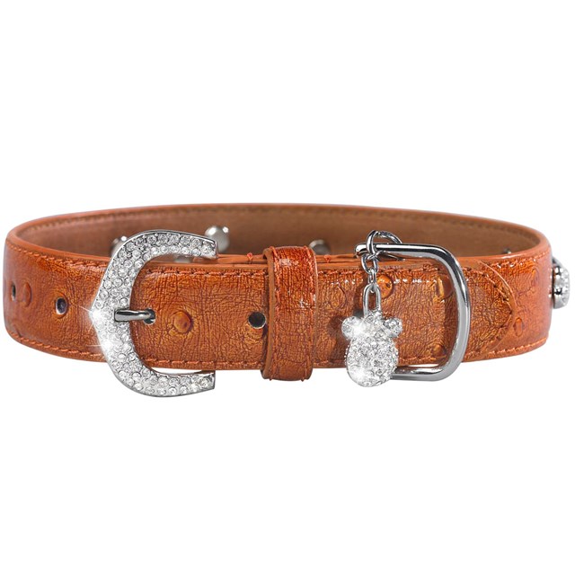 Bones and Sprinkles Halsband Orange XXS